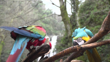 Rehber 3. Bölüm Foto Galeri