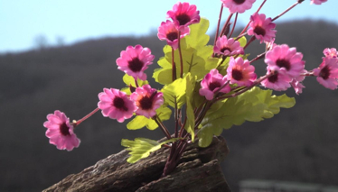 Rehber 4. Bölüm Foto Galeri