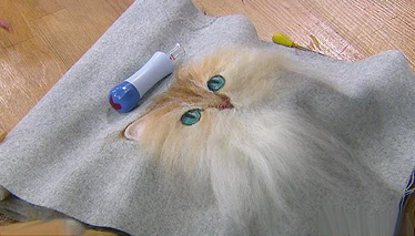 İğneleme Tekniği ile Keçe Çalışması