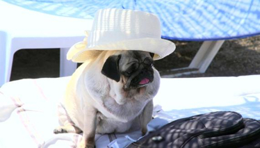 Çocuklu aileler burayı çok seviyor!