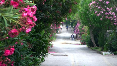 Rehber 18. Bölüm Fragmanı