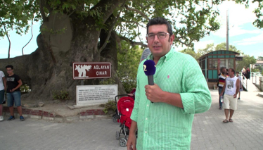 Ağlayan Çınar'ın hikayesi!