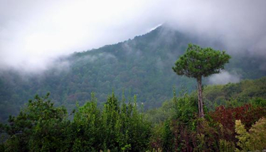 Rehber 33. Bölüm Fragmanı