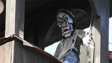 Çok Gezenti Drakula Şatosunda!