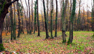 Rehber 40. Bölüm Fragmanı