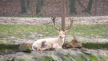 Buraların kralıyım!