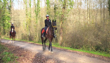 Avrupa'nın en büyük doğal yaşam alanı Kocaeli'nde!