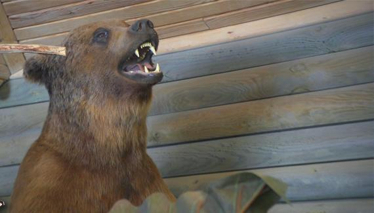 Abant Tabiat Müzesi