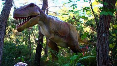 İşte Dinozorların Dünyası