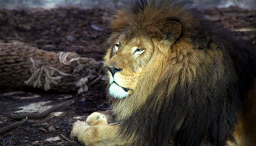 Rehber 49. Bölüm Fragmanı