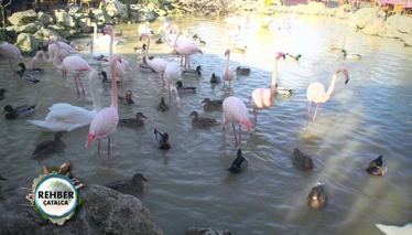 Rehber 49. Bölüm Foto Galeri