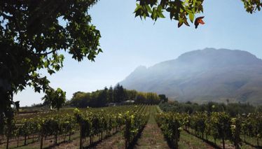 Rüya gibi bir tur...