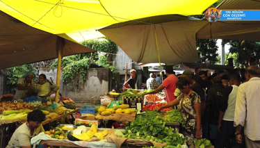 Mauritius'ta Halk Pazarı Turu