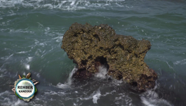 Rehber 73. Bölüm Foto Galeri