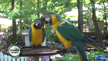 Rehber 74. Bölüm Foto Galeri