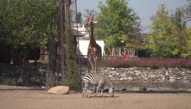 Rehber 77. Bölüm Fragmanı