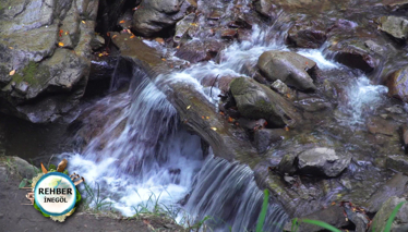 Oylat Kaplıcası'nın Suyunun Faydaları