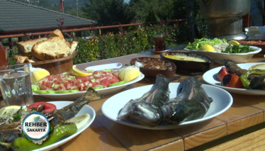 Hendek'te "Alabalık" Yenir