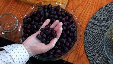 Evde Zeytin Kurmanın Püf Noktaları