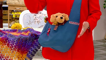 Minik Dostlarımızı Taşıma Çantası