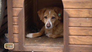 Sen de Yap 9. Bölüm Foto Galeri