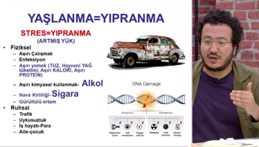 Sağlıklı ve Uzun Yaşamın Sırları