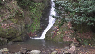 Rehber 88. Bölüm Fragmanı