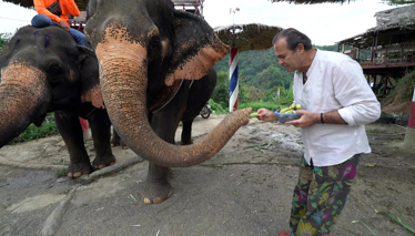 Ayhan Sicimoğlu ile Renkler |  Phuket Adası