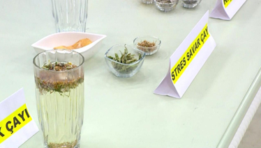 Stres ve Mutsuzluğa Bitkisel Çözüm