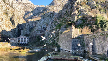 KARADAĞ - Kotor
