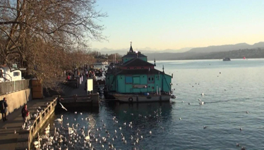 Çok Gezenti  Zürih Gölü