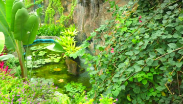 Rehber 96. Bölüm Fragmanı