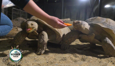 Rehber 98. Bölüm Foto Galeri