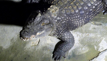 Rehber 98. Bölüm | TUZLA