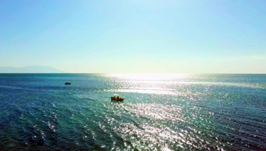 Rehber 104. Bölüm | ENEZ