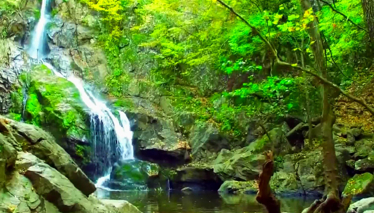 Rehber 105. Bölüm| TEŞVİKİYE