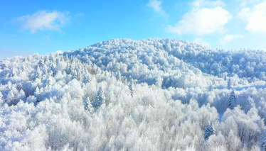 Rehber 115. Bölüm Fragmanı