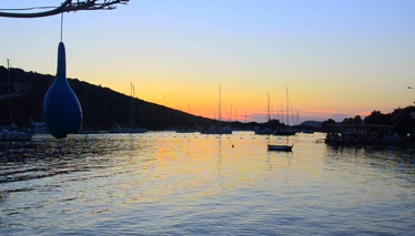 Rehber 141. Bölüm | BODRUM