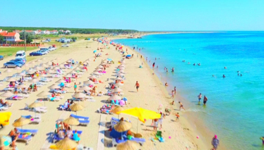 Rehber 144. Bölüm | ENEZ 2. BÖLÜM