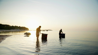 Liderlik oyunu için suda yarıştılar!