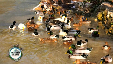 Rehber 161. Bölüm Foto Galeri