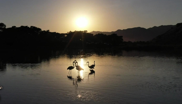 Rehber 180. Bölüm | DEMRE