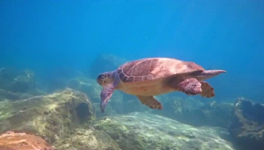 Rehber 183. Bölüm Foto Galeri