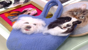 Derya Baykal'la Gülümse Üç Boyutlu Hayvan Figürleriyle Keçe Çalışmaları