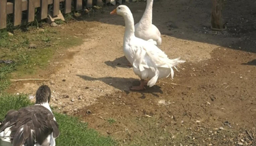 Rehber 191. Bölüm | ADANA