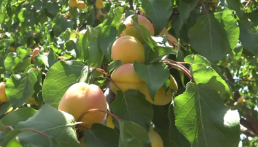 Rehber 200. Bölüm Foto Galeri