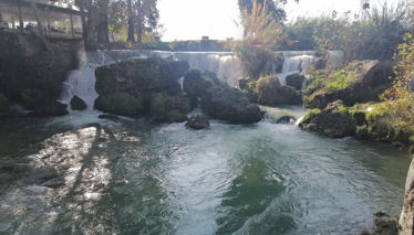 Rehber 204. Bölüm | MERSİN