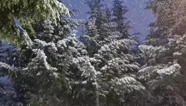 Rehber 211. Bölüm | KARTEPE