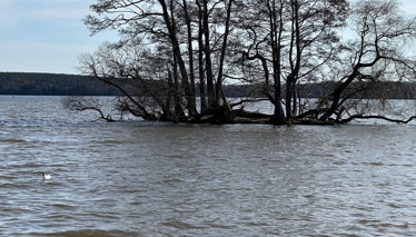 İSVEÇ - Sigtuna Foto Galeri