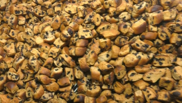 Rehber 219. Bölüm Foto Galeri